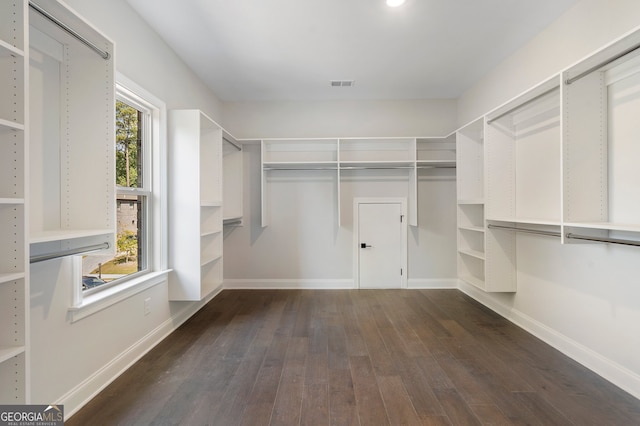 walk in closet with dark hardwood / wood-style flooring