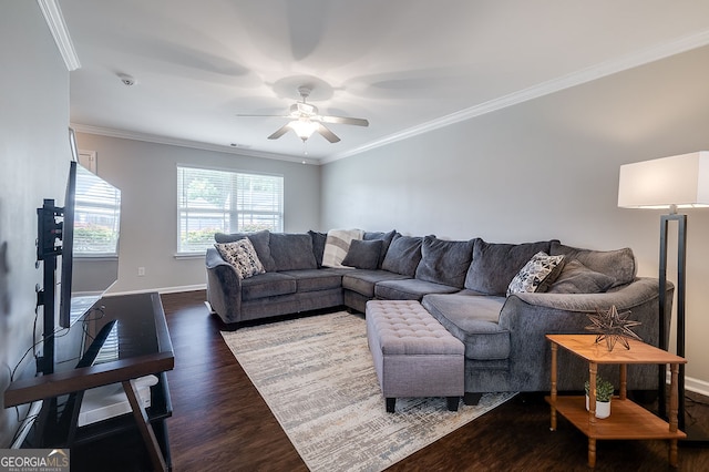 living room with ornamental molding, ceiling fan, and dark wood-type flooring