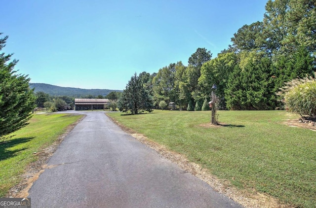 2051 Little Texas Valley Rd, Rome, GA 30165 - view of street with a mountain view and aphalt driveway
