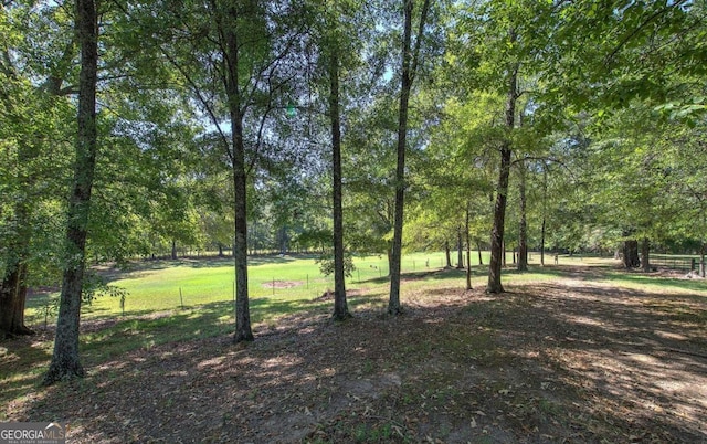 2051 Little Texas Valley Rd, Rome, GA 30165 - view of yard