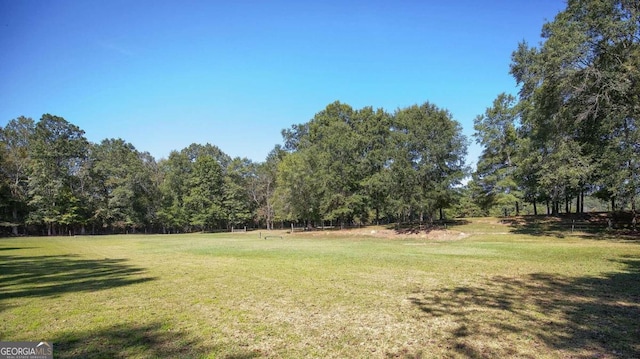 2051 Little Texas Valley Rd, Rome, GA 30165 - view of yard