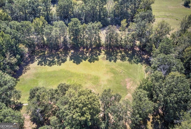 2051 Little Texas Valley Rd, Rome, GA 30165 - birds eye view of property