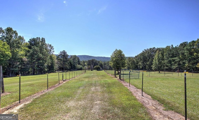 view of yard featuring a rural view