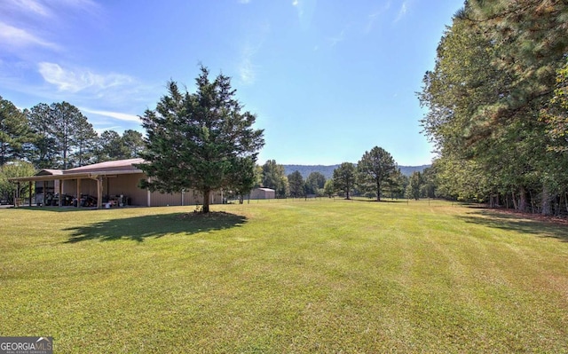 2051 Little Texas Valley Rd, Rome, GA 30165 - view of yard