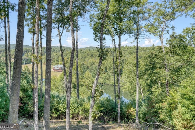 view of landscape with a water view