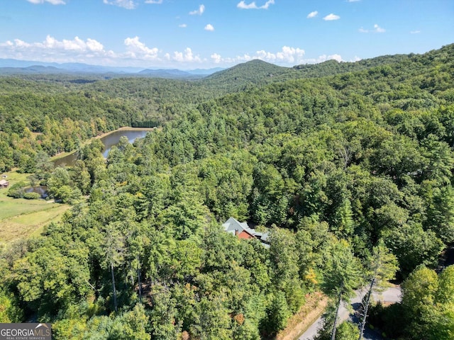 bird's eye view with a mountain view