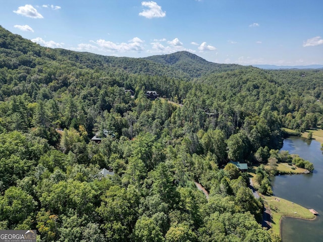 bird's eye view featuring a water and mountain view