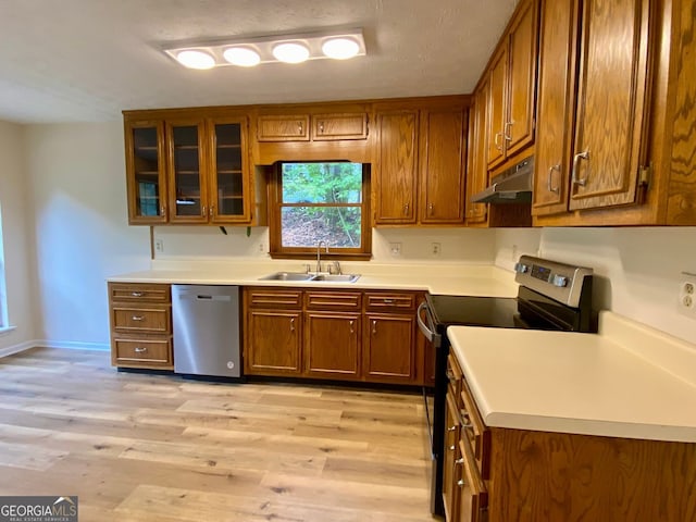 kitchen featuring appliances with stainless steel finishes, light wood-type flooring, and sink