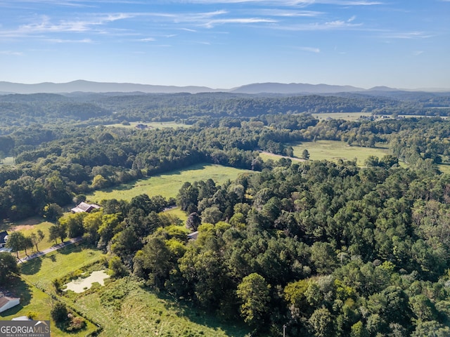 birds eye view of property featuring a mountain view