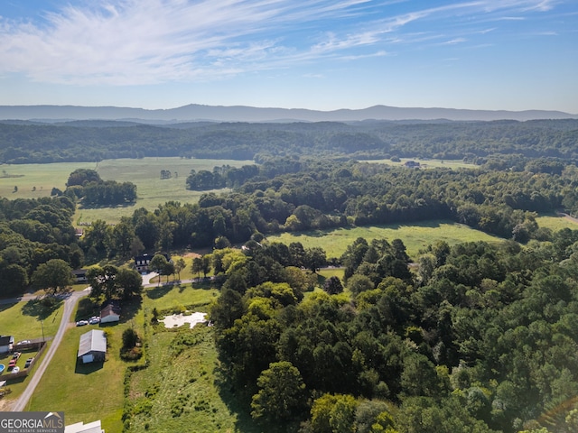 bird's eye view featuring a mountain view