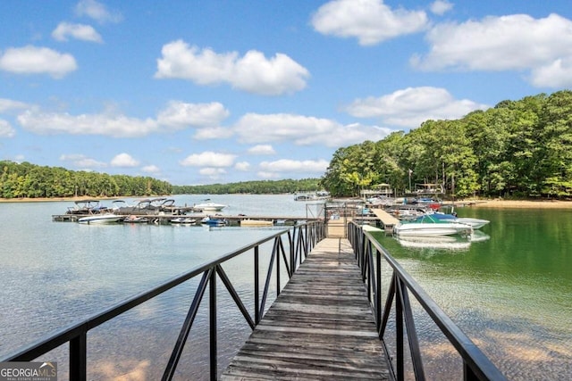 dock area with a water view