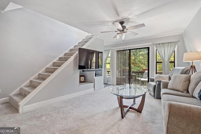 living room featuring ceiling fan, carpet flooring, and ornamental molding