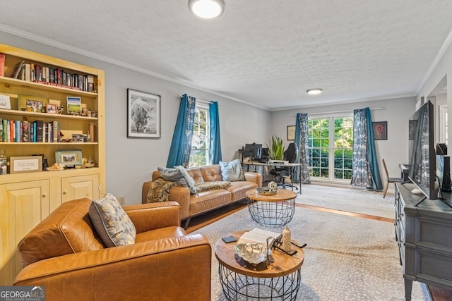 carpeted living room featuring a textured ceiling and crown molding