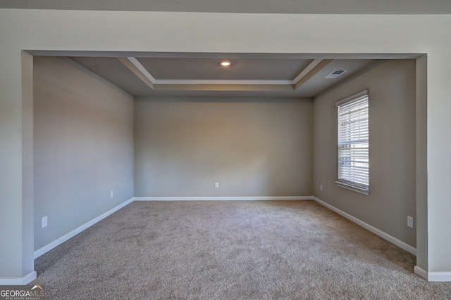 spare room featuring carpet and a tray ceiling