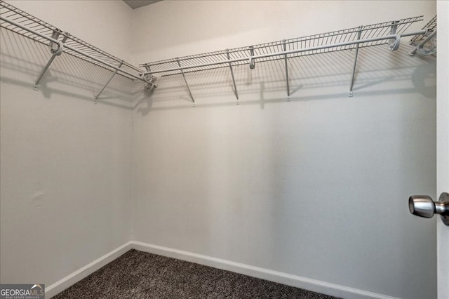 spacious closet with carpet