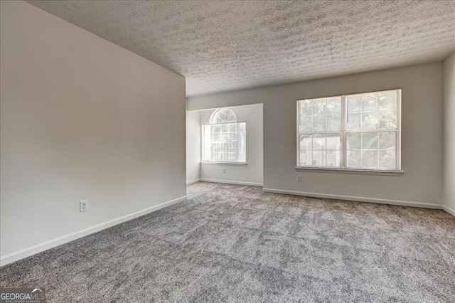 carpeted empty room with a textured ceiling and a healthy amount of sunlight