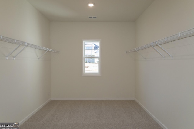 walk in closet with carpet floors