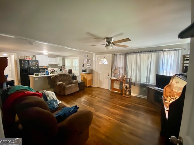 living room with ceiling fan and hardwood / wood-style flooring