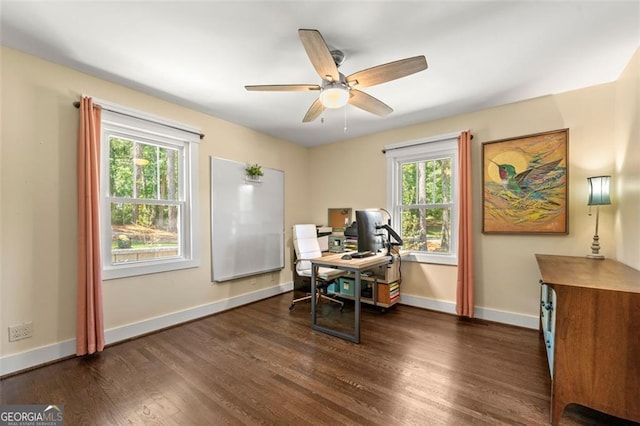 office with a wealth of natural light, dark wood-type flooring, and ceiling fan