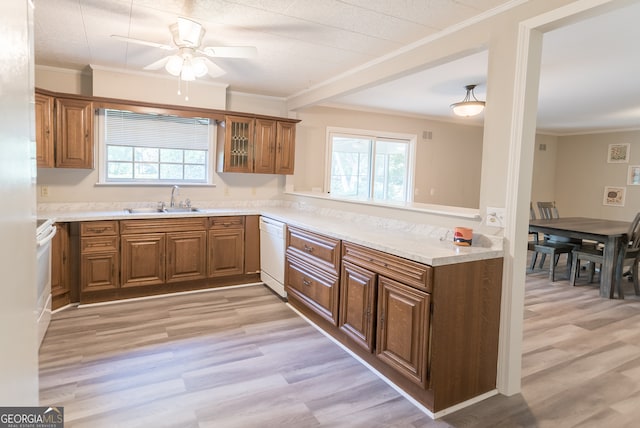 kitchen featuring ceiling fan, light wood-type flooring, and a healthy amount of sunlight