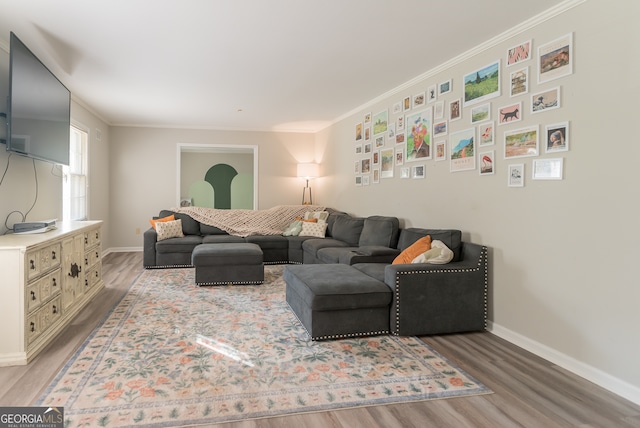 living room with ornamental molding and hardwood / wood-style floors