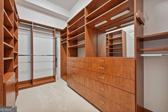 walk in closet with carpet flooring