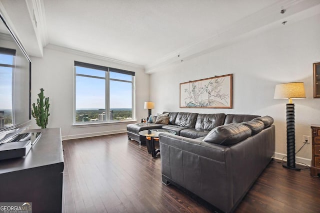 living room with dark wood finished floors, crown molding, and baseboards