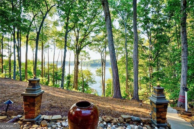 view of home's community with a water view