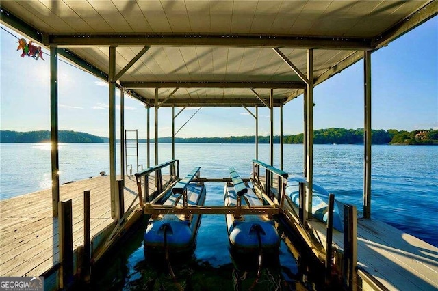 dock area with a water view