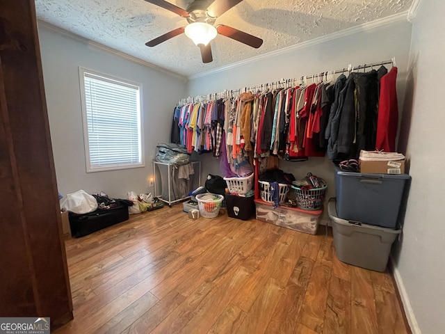 walk in closet featuring hardwood / wood-style flooring and ceiling fan