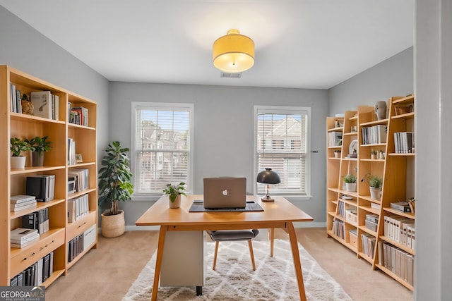 carpeted office space with a healthy amount of sunlight