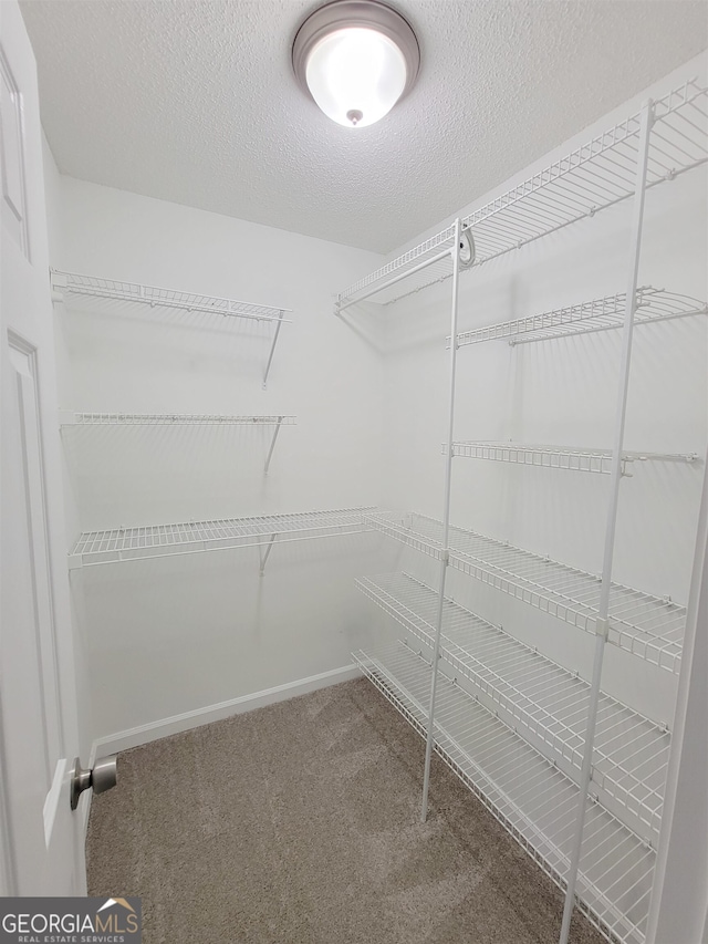 walk in closet featuring carpet floors