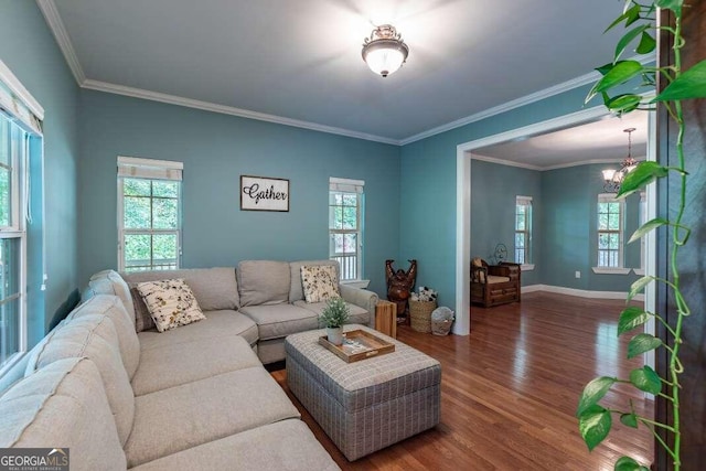 living room featuring wood-type flooring, crown molding, and an inviting chandelier