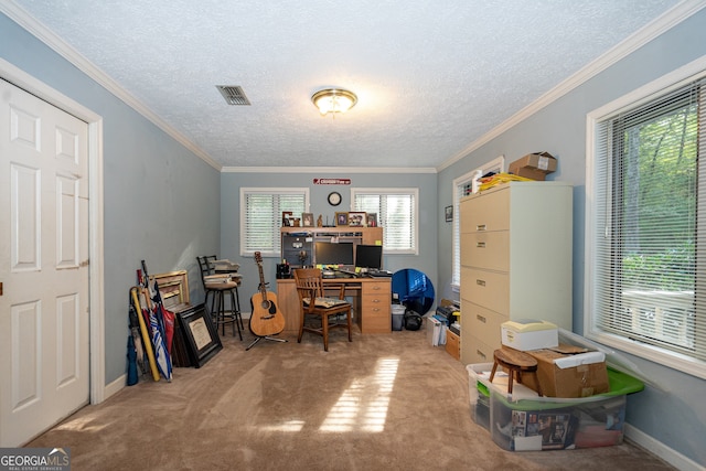 carpeted home office featuring a textured ceiling and crown molding