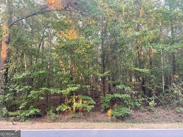 Listing photo 2 for 0 Triune Mill Rd, Thomaston GA 30286