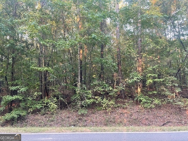 Listing photo 3 for 0 Triune Mill Rd, Thomaston GA 30286