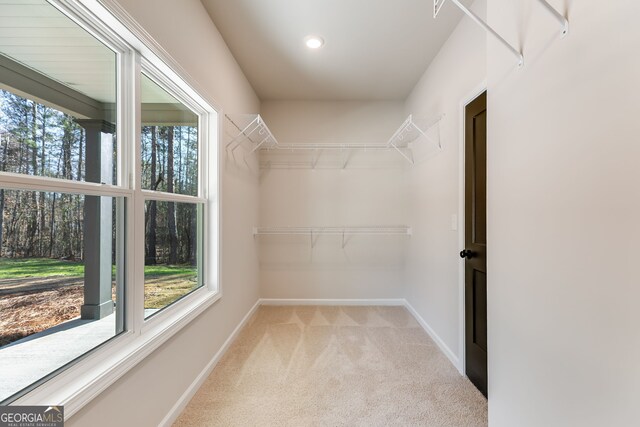 walk in closet featuring light carpet