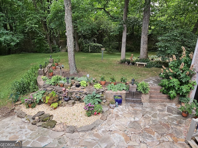 view of yard with a patio area