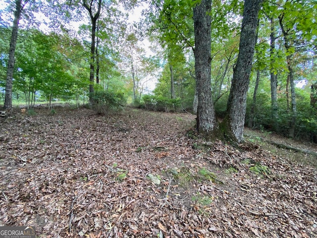 Listing photo 3 for 0 S Laceola Rd, Cleveland GA 30528