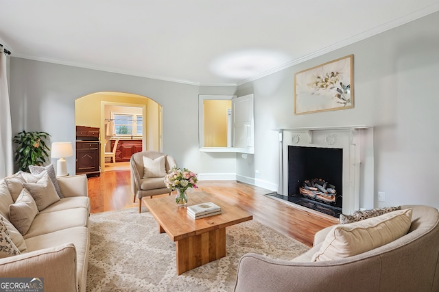 living room with light hardwood / wood-style flooring and ornamental molding