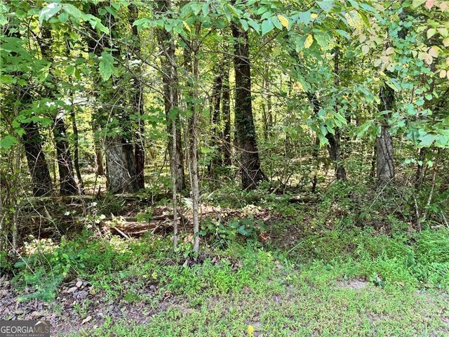 0 Rock Chimney Ln, Dahlonega, GA 30533