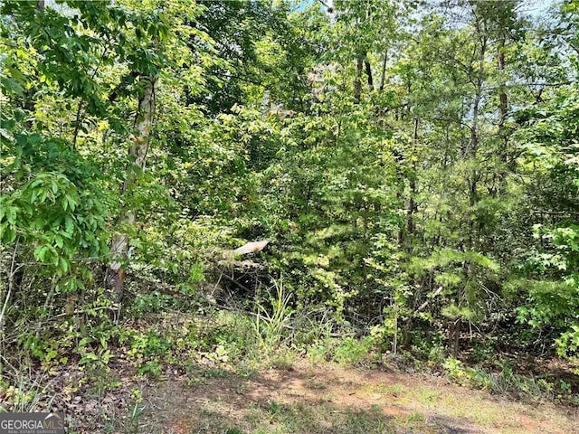 0 Rock Chimney Ln, Dahlonega, GA 30533
