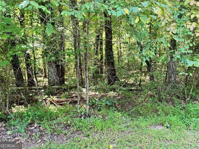 0 Rock Chimney Ln, Dahlonega, GA 30533