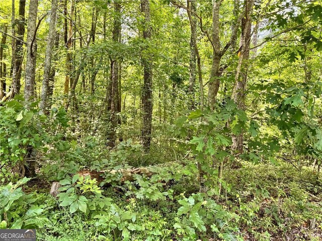 0 Rock Chimney Ln, Dahlonega, GA 30533