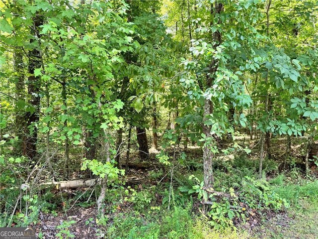0 Rock Chimney Ln, Dahlonega, GA 30533