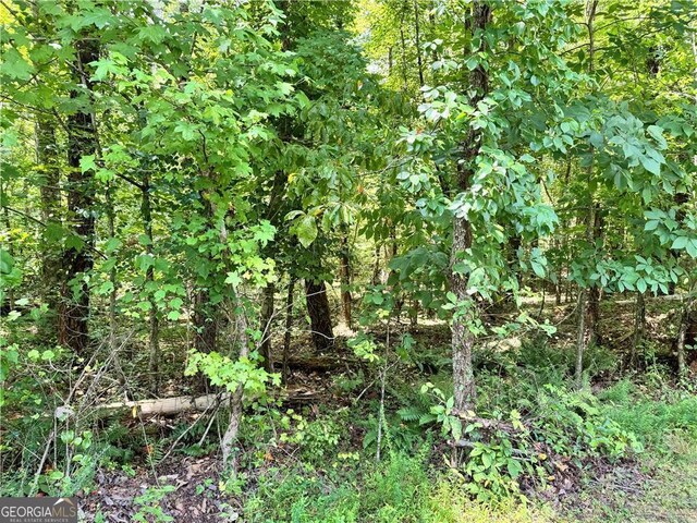 0 Rock Chimney Ln, Dahlonega, GA 30533