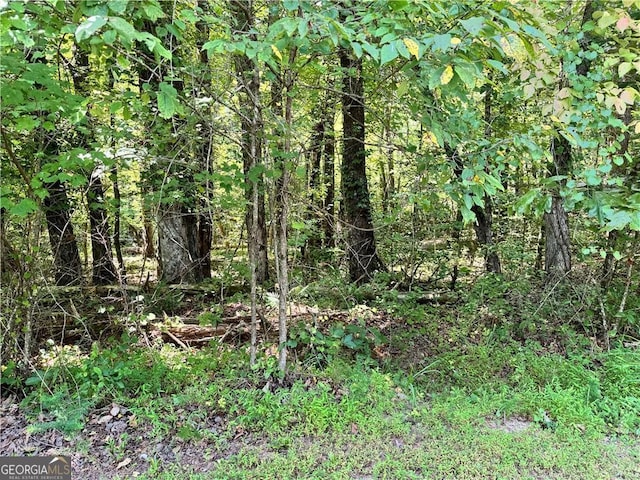 0 Rock Chimney Ln, Dahlonega, GA 30533