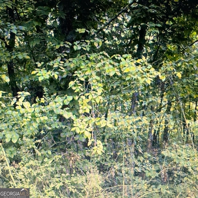 0 Deer Rune Ln, Cedar Bluff, AL 35960
