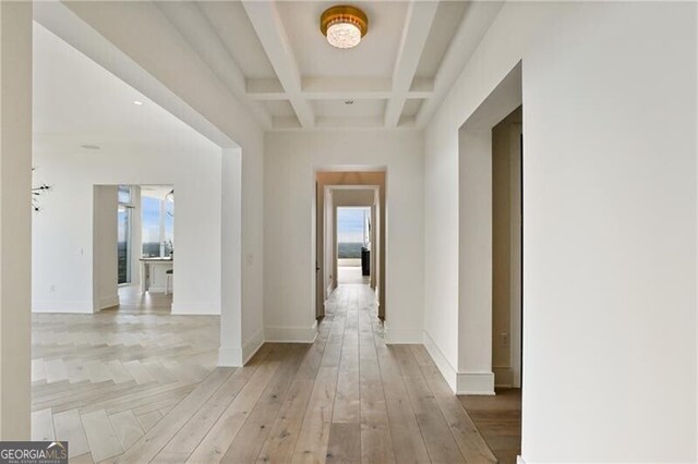 hallway with coffered ceiling, light hardwood / wood-style flooring, and beam ceiling