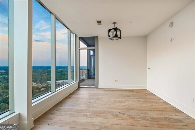 unfurnished room featuring light hardwood / wood-style flooring and a wealth of natural light